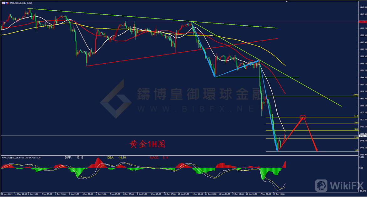 铸博皇御环球金融