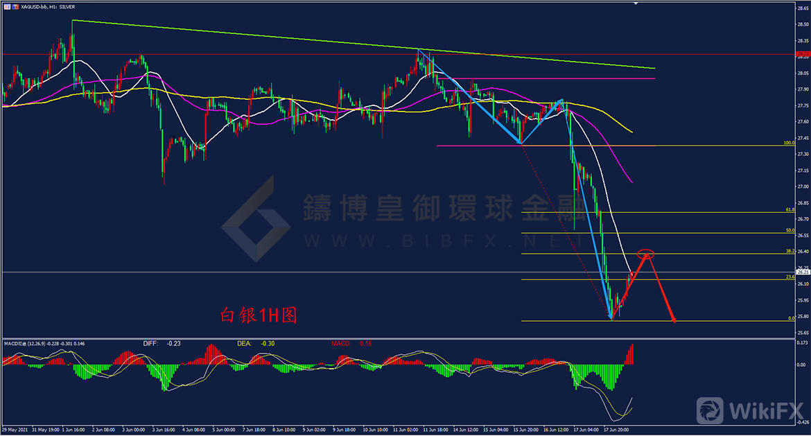 铸博皇御环球金融