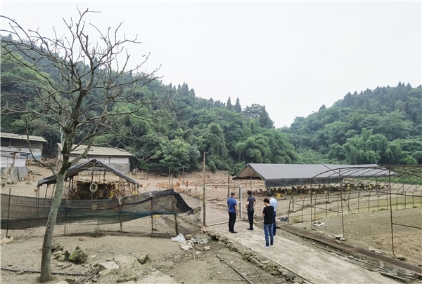 金融扶农就看马上金融“技术+资金”双驱动