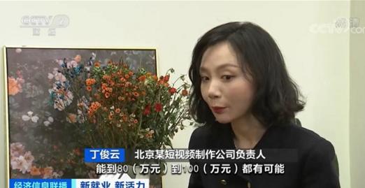 点击看大图 90后为何越来越愿意接受灵活就业:扎堆互联网,好的编导年薪在80-100万元