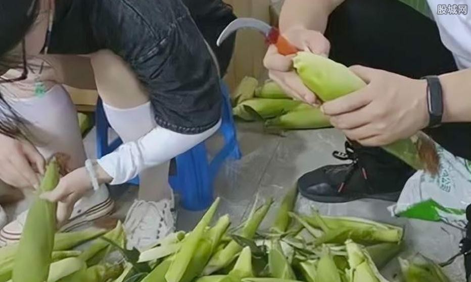 女生每天剥百斤玉米