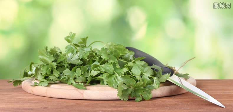 立秋之后6种菜可以种植简单易管理