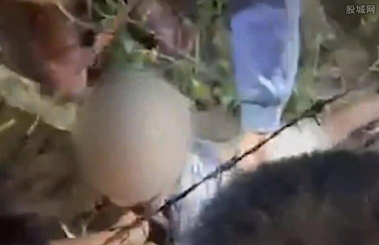 男童在铁丝网上找到