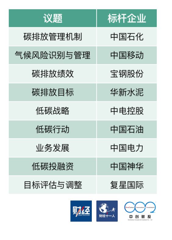 表：各议题中表现优秀的标杆公司